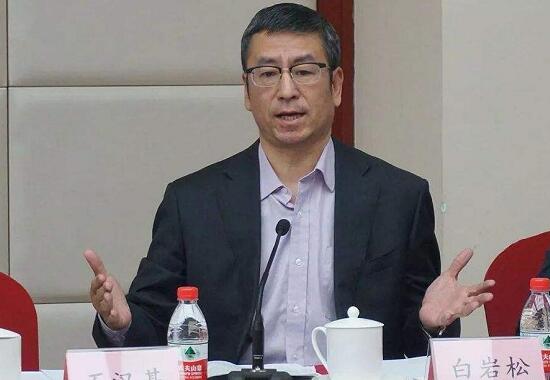 武漢“封城”效果是否明顯？上班后食堂集中用餐如何防護(hù)？白巖松連線