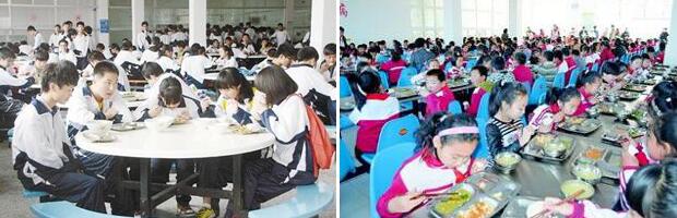 號(hào)稱“中小學(xué)營(yíng)養(yǎng)餐”卻每年浪費(fèi)驚人 問題出在哪？